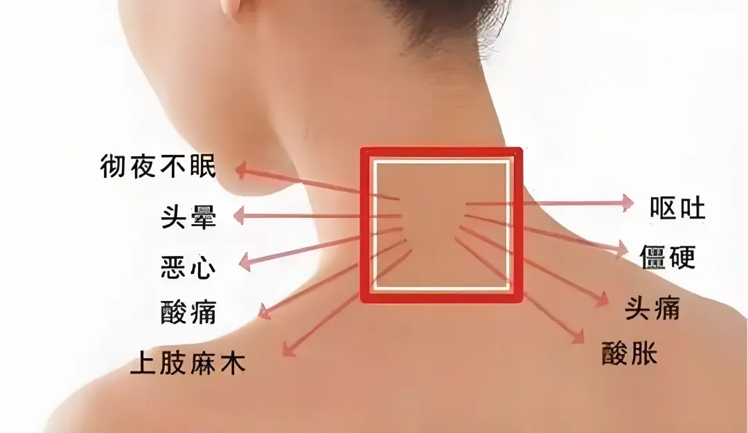 微信圖片_20240930101201.png 微信圖片_20240930101201.png